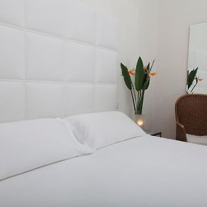 Suite deluxe
